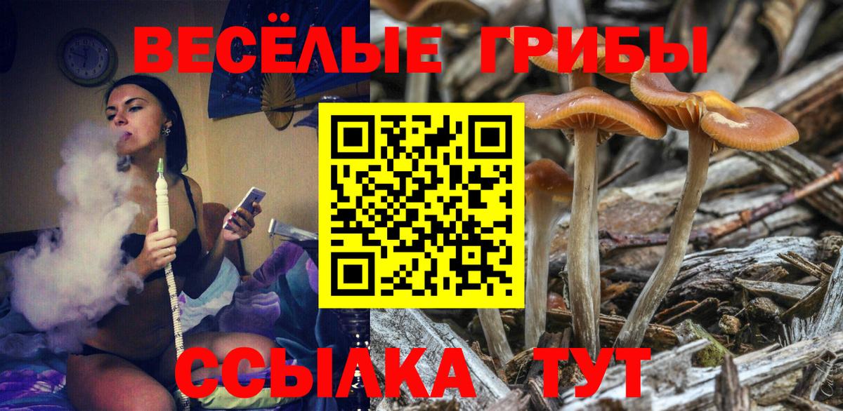 Новоалтайск  Псилоцибиновые грибы Psilocybine cubensis  Вход с VPN  Галлюциногенные грибы MAGIC MUSHROOMS 