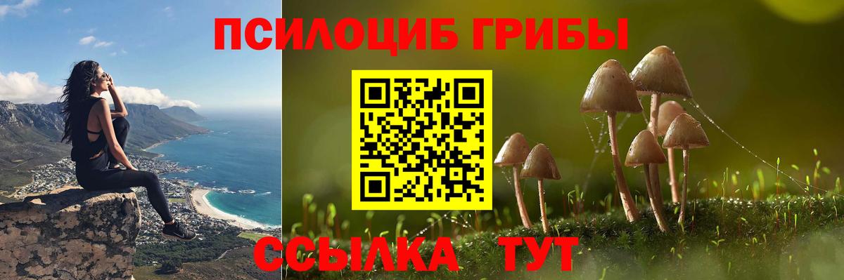 Псилоцибиновые грибы MAGIC MUSHROOMS Новоалтайск